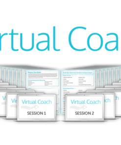 Eben Pagan – Virtual Coach