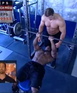 Download Muscle & Fitness - Training System