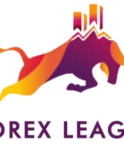 Download My Forex League – The Course