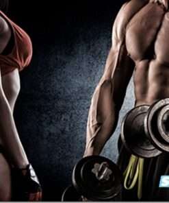 Download Fitness Model Transformation