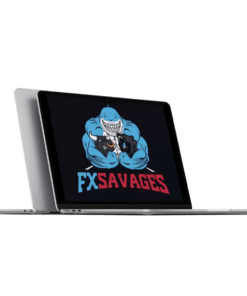 Download Daniel Savage – FX Savages – 3 Day Bootcamp