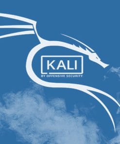 Udemy - (Kali Linux) 2020.4 Optimization before hacking