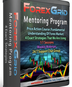 [VIP SHARE] Avdo – ForexGrid Mentoring Program