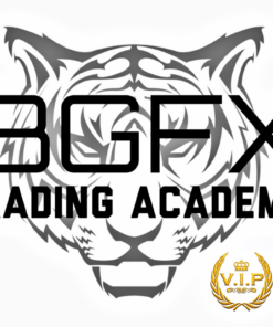 [VIP SHARE] BGFX Trading Academy