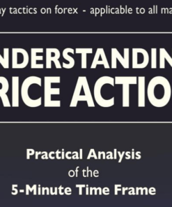 Bob Volman – Understanding Price Action