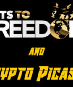 [VIP SHARE] Crypto Picasso Bits to Freedom Video Course