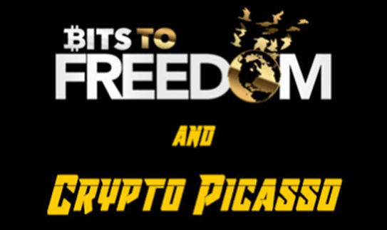 Crypto Picasso Bits to Freedom Video Course