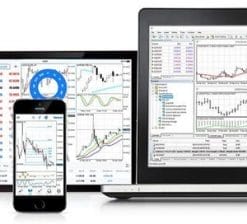 [VIP SHARE] Golden Option Trading – Forex Course