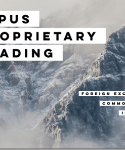 Download Lepus Proprietary Trading