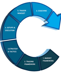 OpenTrader Professional Training Program