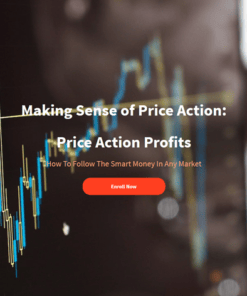 Price Action Prophet