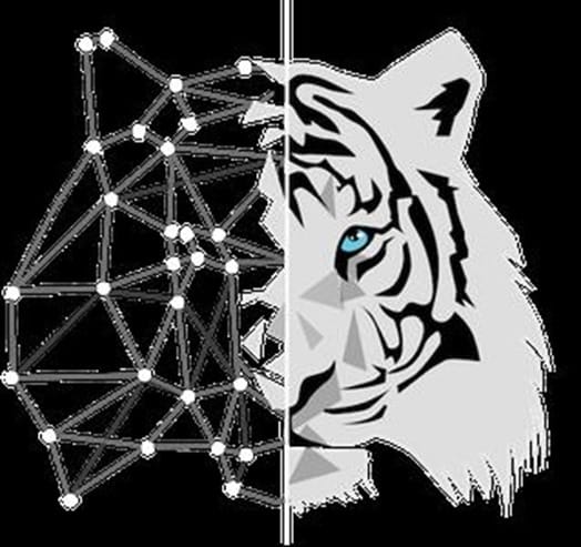 Download Rockz FX Academy