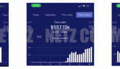 Luca Netz – Advanced Dropshipping