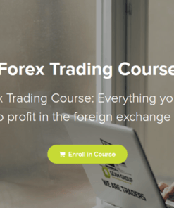 [VIP SHARE] Seam Group – Forex Trading Course