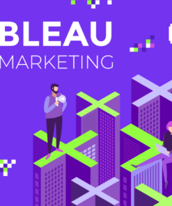 Tableau for Business Analytics and Marketing