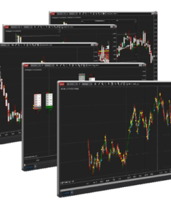 The-Institute-of-Order-Flow-Analytics-Intensive-Boot-Camp-5-Day-Course