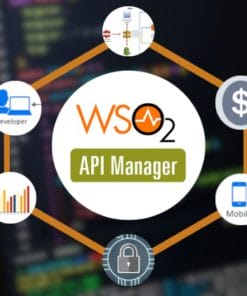 Udemy - API Management con WSO2, REST Open API first swagger SOAP