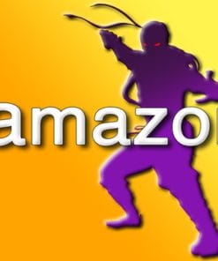 Udemy - Amazon Sales Pro Secrets: Learn from an Amazon Top-Seller