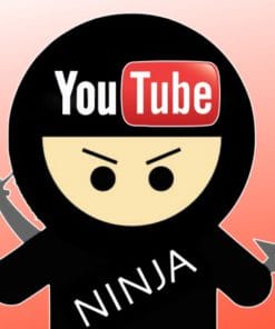 Udemy - Be A YouTube Ninja: For Your Blog, Business & Monetization
