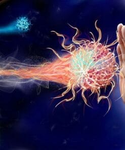 Udemy - Be Proactive: How to BOOST YOUR IMMUNE SYSTEM, Live, Prosper