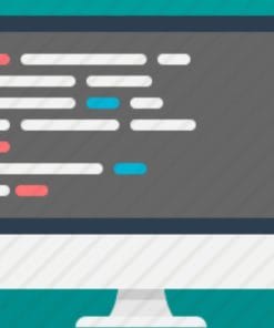 Udemy - Beginner's guide to Competitive programming using python