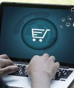 Udemy - Build & Grow Your Shopify Store: Ecommerce & Dropshipping