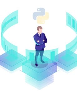Udemy - Business Analytics with Python 2021