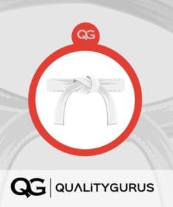 Udemy - Certified Six Sigma White Belt