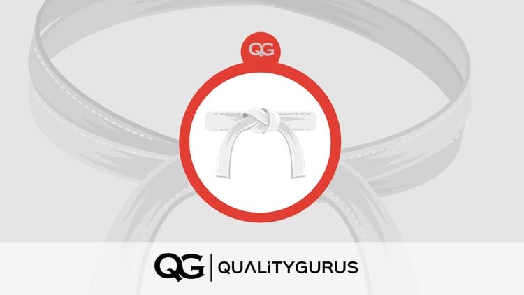 Udemy - Certified Six Sigma White Belt