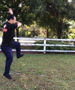 Udemy - Chen Style Tai Chi Competition Routine - 56 Postures