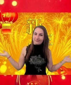 Udemy - Chinese Language & Culture Beginner's Course: HSK1 (1/3)