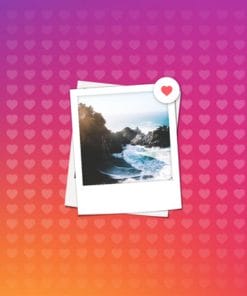 Udemy - Complete Instagram Domination Course: How I Got 50,000 fans!