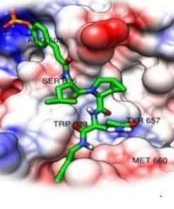 Udemy - Computer aided drug design
