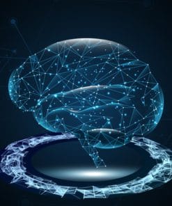 Udemy - Data Augmentation in NLP