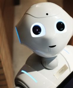 Udemy - Data Science Real World Projects in Python