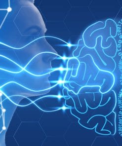 Udemy - Deep Learning Projects Masterclass 2021: Build AI Web Apps