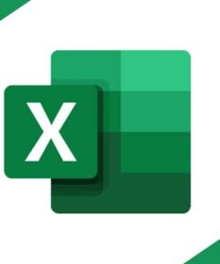 Udemy - Devenir Expert Microsoft Excel: Formation professionnelle