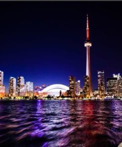 Udemy - Dropshipping with Wordpress: Create a Dropship Business Fast