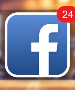 Udemy - Facebook Marketing: A Step-by-Step to Your First 1000 Fans!