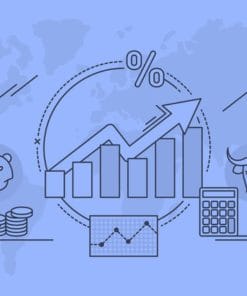 Udemy - Financial Statements - Brief Introduction and Analysis