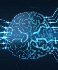 Udemy - Fundamental Question on Artificial Intelligence