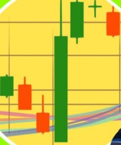 Udemy - Guide to Stock Trading with Candlestick & Technical Analysis