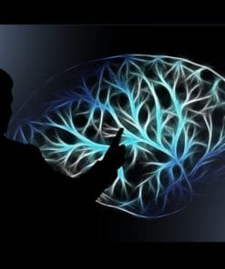 Udemy - How To Increase Your Memory Power By 10X In Next 10 Minutes