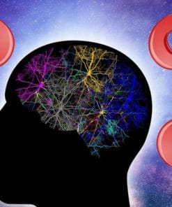 Udemy - How to Program your mind in an Instant for Law of Attraction