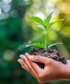 Udemy - Introduction to Environmental Chemistry