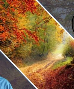 Udemy - KDSPY SEO: Amazon Self-publishing/Self-publish w/KDSPY SEO