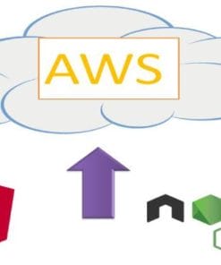 Udemy - Learn to Deploy your Angular NodeJS Application on Server
