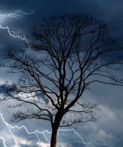 Udemy - Meteorology 101