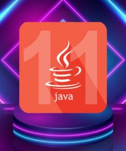 Udemy - OCP Java® SE 11 Developer Exam 1Z0-819 Practice Tests