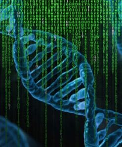 Udemy - Optimization Using Genetic Algorithms : MATLAB Programming